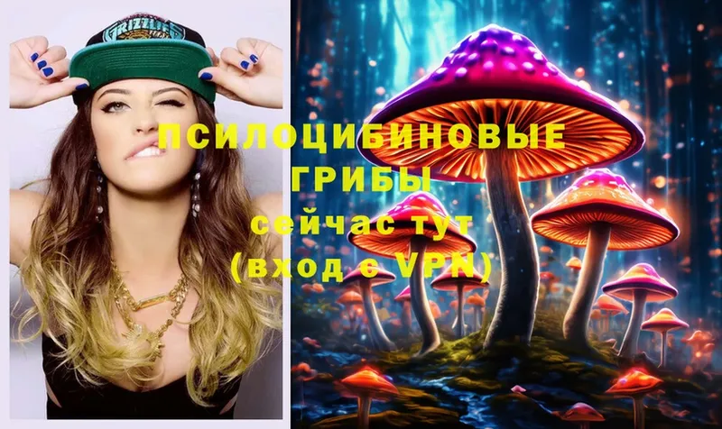 Галлюциногенные грибы MAGIC MUSHROOMS  где купить наркоту  Серов 